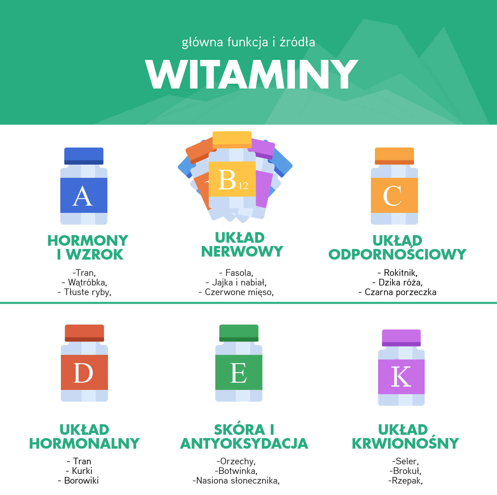 Wszystko co musisz wiedzieć o WITAMINACH