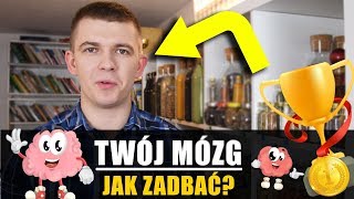 Mózg człowieka – jak dbać i czym go karmić?
