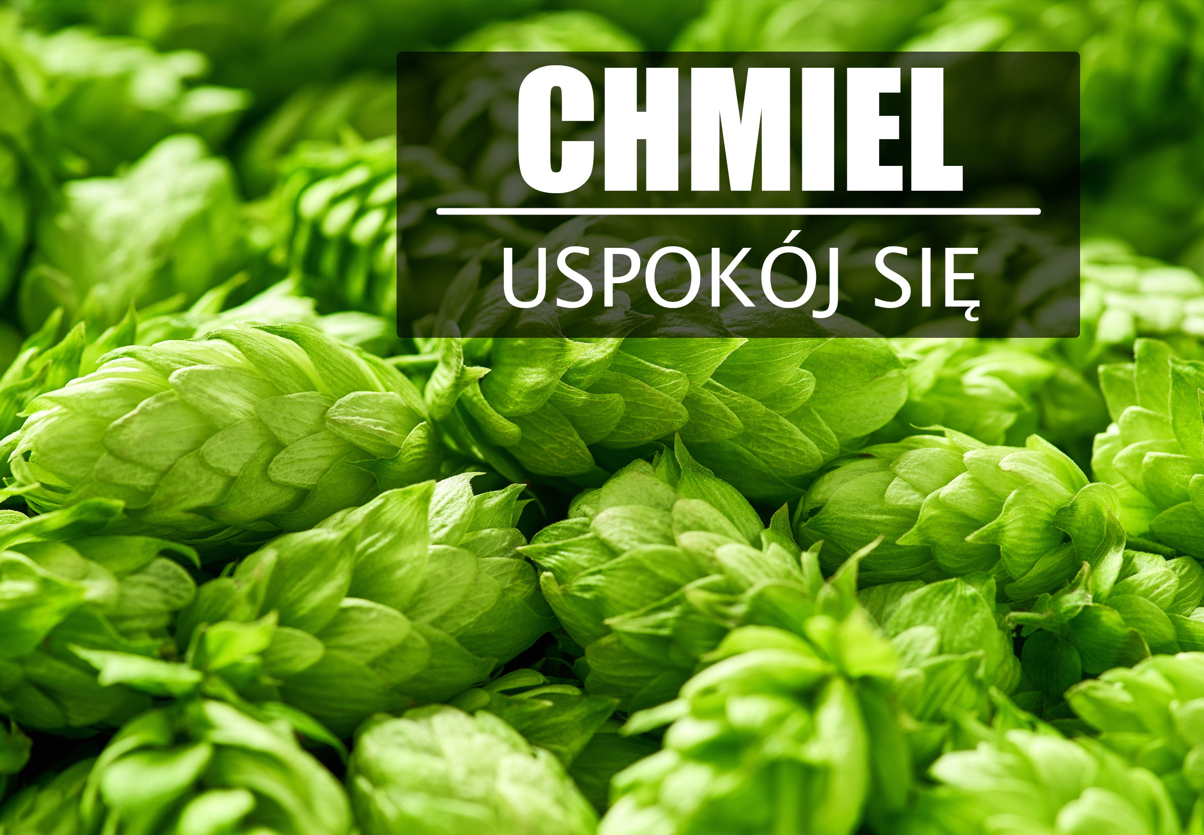 Chmiel – głębokie neuro-uspokojenie