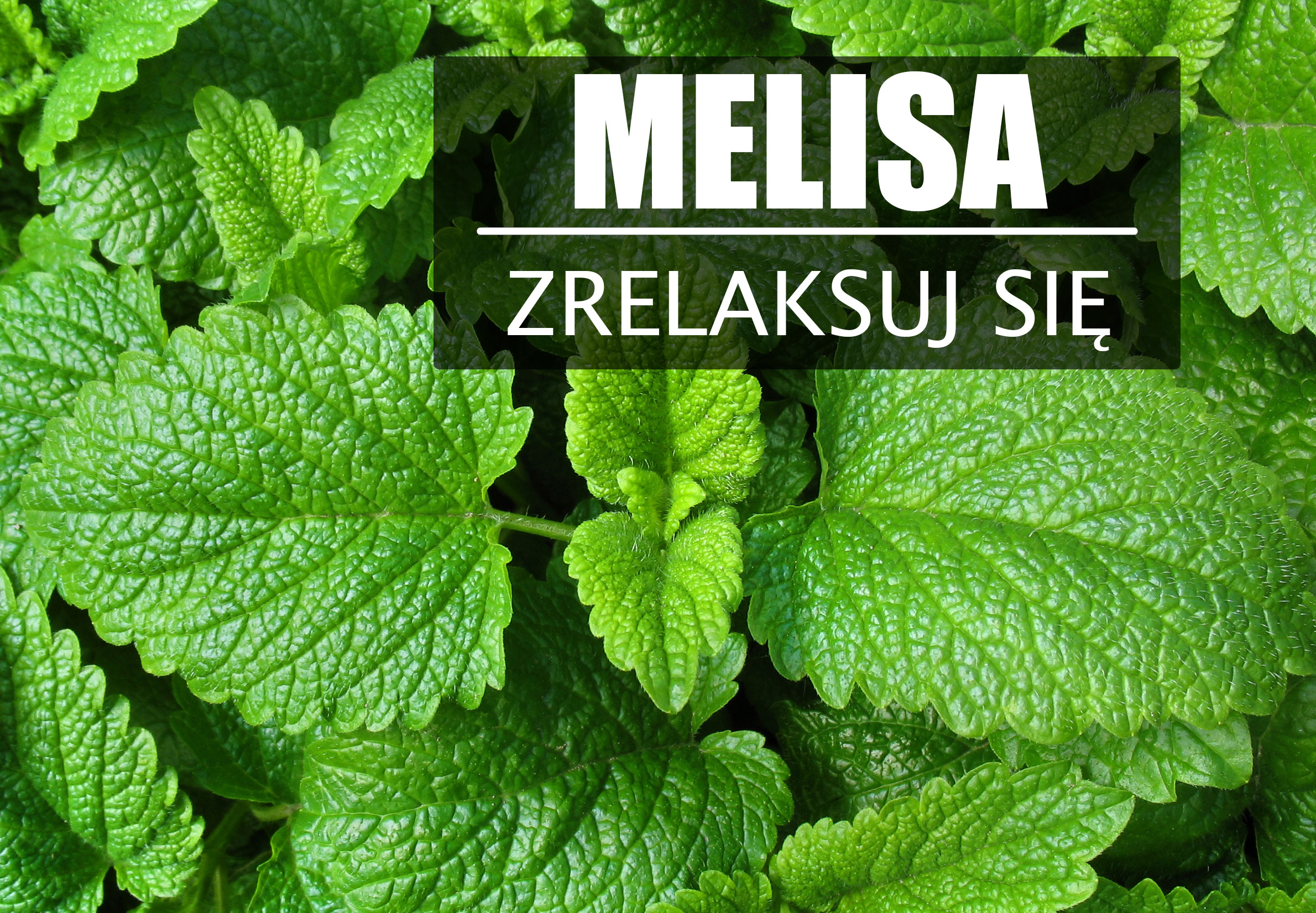 MELISA – głęboki spokój.