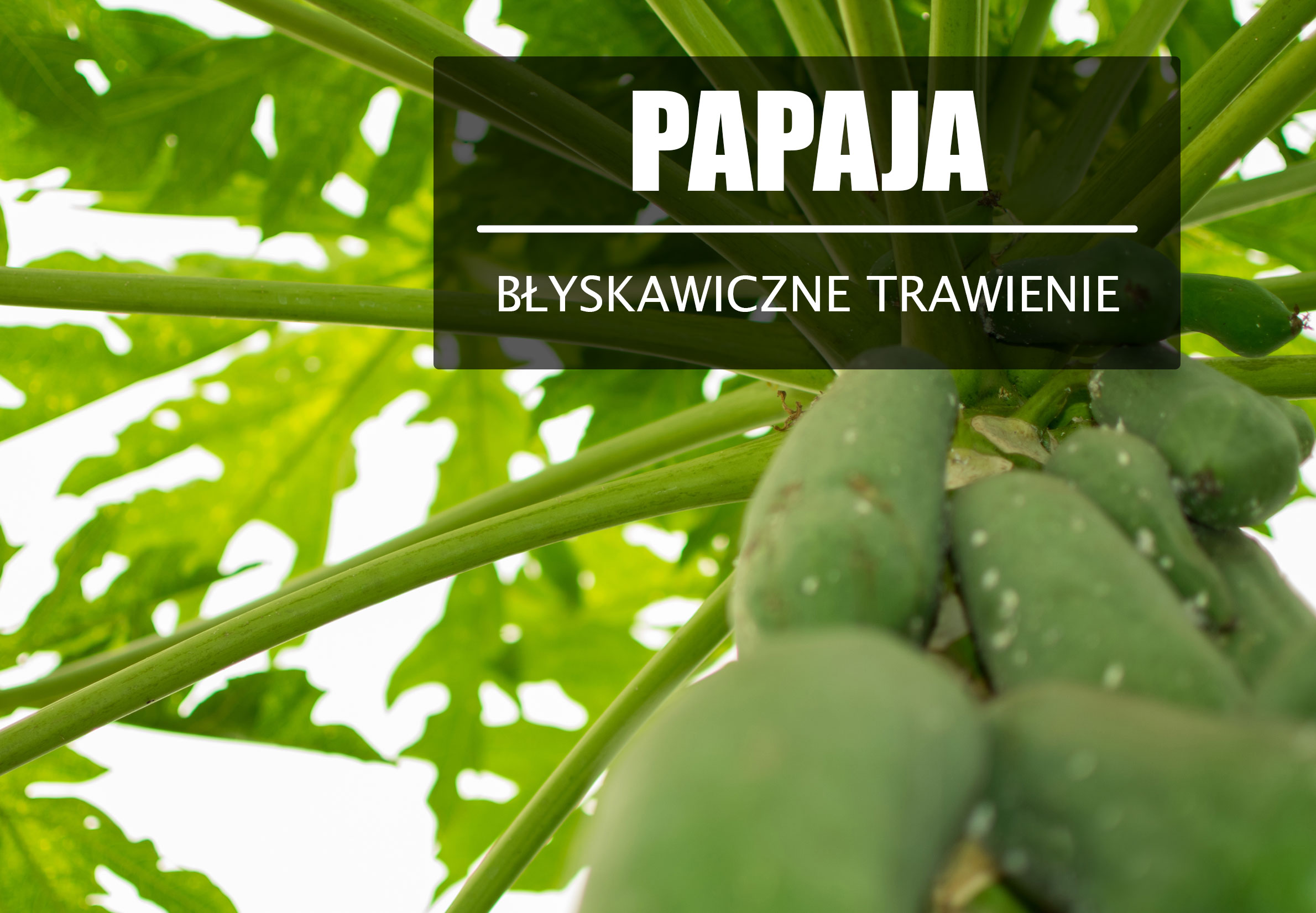 Papaja – naturalne poprawienie trawienia.