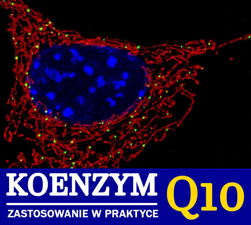 Koenzym Q10