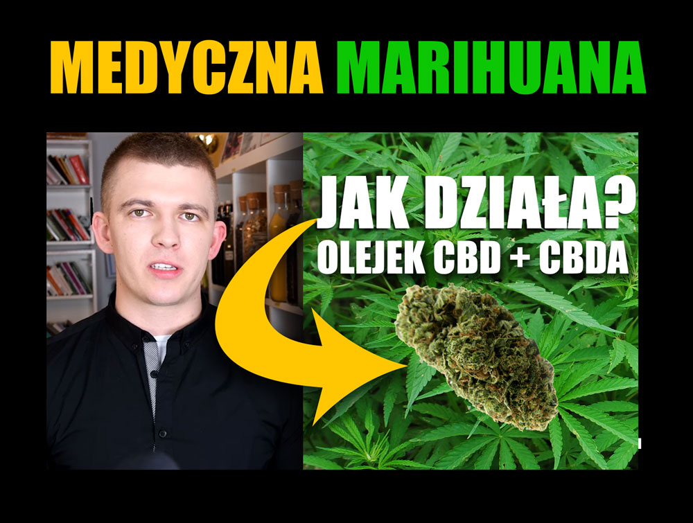 MEDYCZNA MARIHUANA – OLEJEK CBD +CBDA