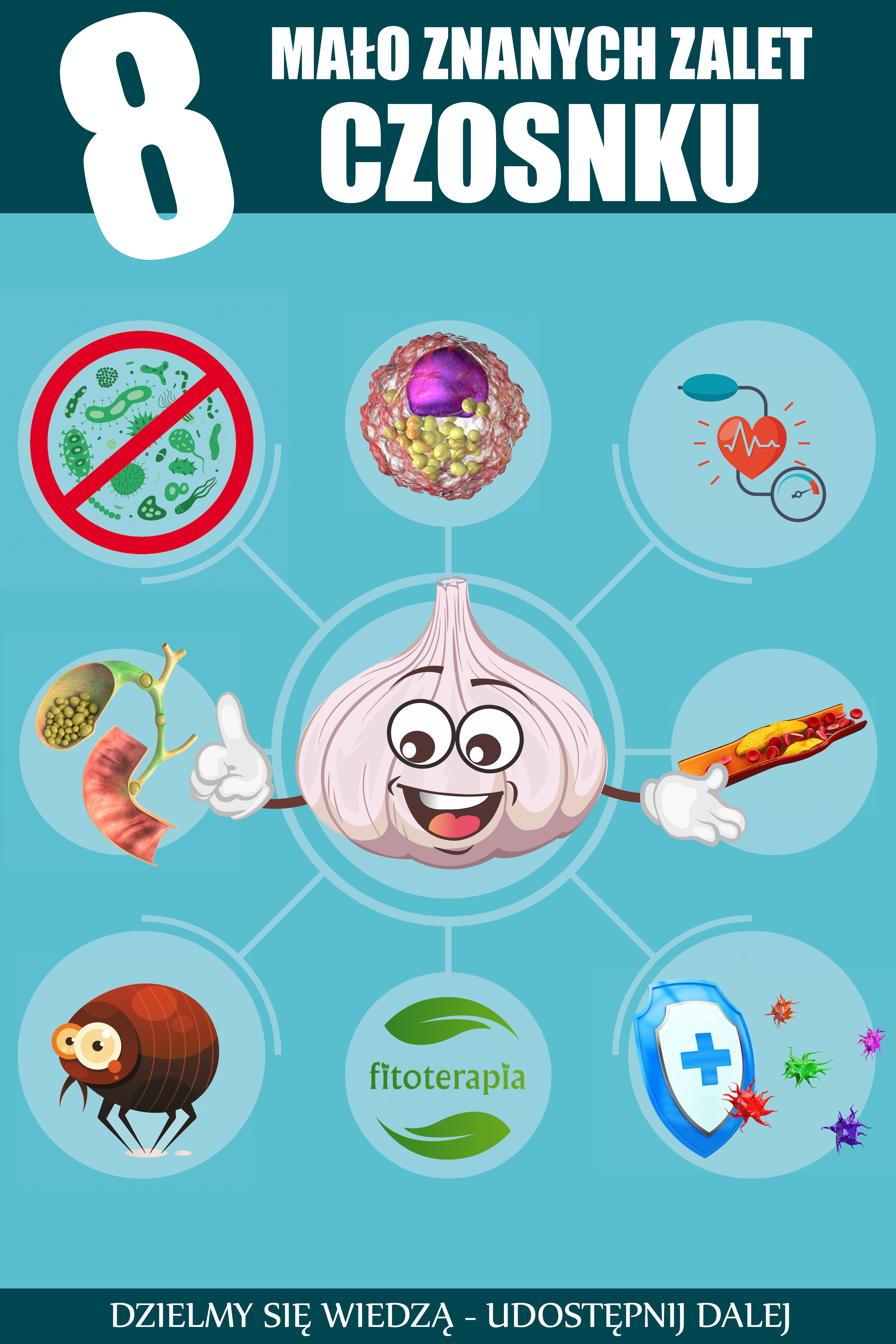 CZOSNEK – 8 Mało znanych leczniczych właściwości